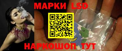 гашик Будённовск