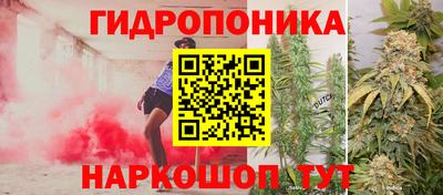 гашик Будённовск
