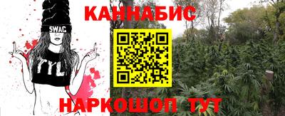 гашик Будённовск