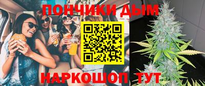 гашик Будённовск