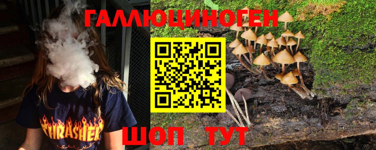Псилоцибиновые грибы Psilocybine cubensis Красноперекопск